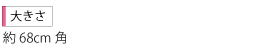 大きさ